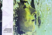 Steve Kilbey (the Church) Earthed lp clear vinyl 1987