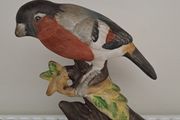 Vintage Bullfinch bird figurine