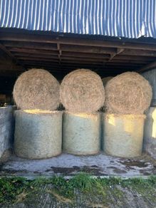 Hay for sale.  Organic