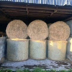 Hay for sale.  Organic