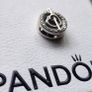 Pandora Reflexions charm Image 4