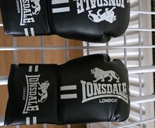 boxing gloves