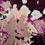 Ladies Size 14 Wine Patterned Blouse by Inwear Image 3