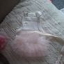 Dog dress Image 2