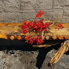 NEW Rustic Driftwood Stove Mantle / Shelf