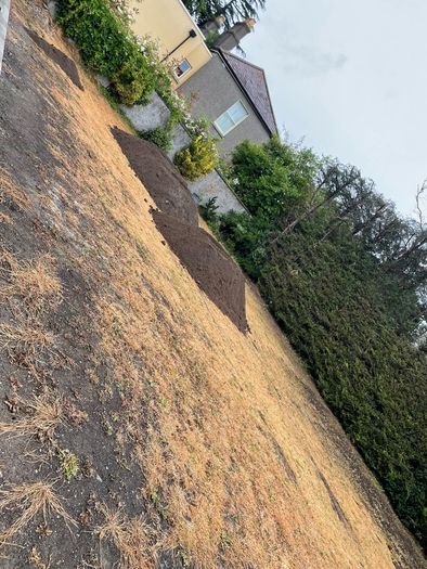 Topsoil