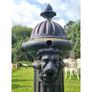Village Pump Black H240 Image 2