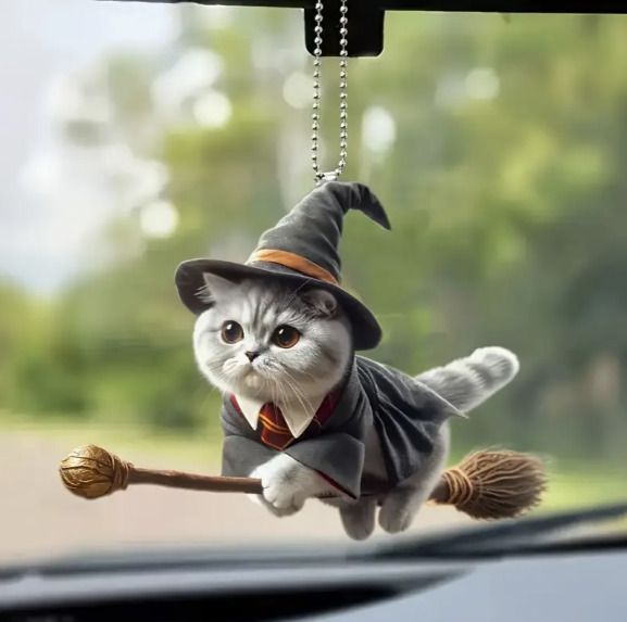 Halloween Costumes