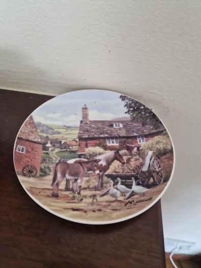 cup & saucer