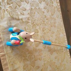 Peter Rabbit push along toy
