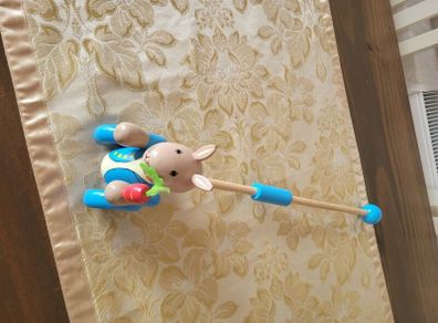 Peter Rabbit push along toy
