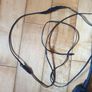 Biogreen Thermo 2 Thermostat and 12 metre Soil Warming Cable Image 2