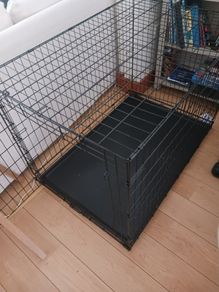 Large Dog Travel Crate to take away