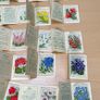 Kensitas Medium Silk Cigarette Cards Flowers 1934 - 31 Medium and 4 Small Image 5