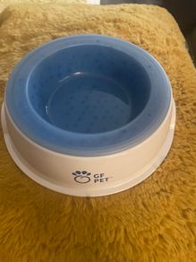 Ice Bowl - Cooling Water Bowl