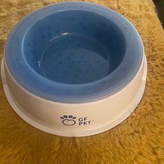 Ice Bowl - Cooling Water Bowl