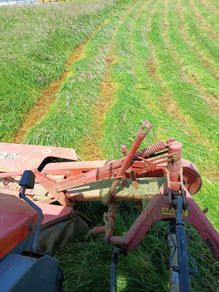 Hay ,square bale first cut