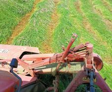 Hay ,square bale first cut