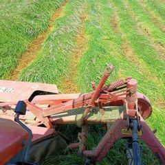 Hay ,square bale first cut