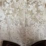 Princess Ballroom Gown with Petticoat. Age 9 to 11 Image 3