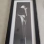FINE ART SIGNED PRINT OF FRAMED Black & White Photograph by Dick/Diane Stefanich Calla Lily Image 5