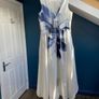 Coast Dress Image 2
