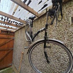 Chinese bicycle