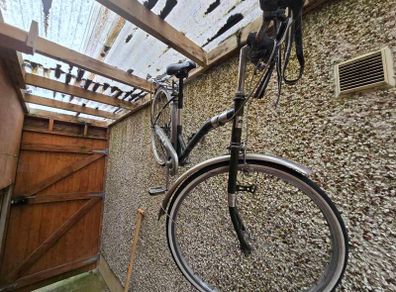 Chinese bicycle