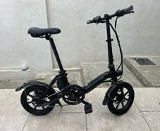 Fiido D3 Pro Electric Bike