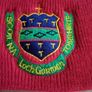 Presentation Wexford Secondary School uniform scarf hat crest new Image 3