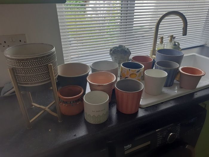 Plant pots