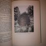SALE! Dwarf and Slow Growing Conifers By Murray Hornibrook Image 5
