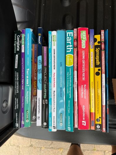 Leaving cert books - Job lot