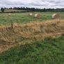 Hay & Silage Bales Image 2