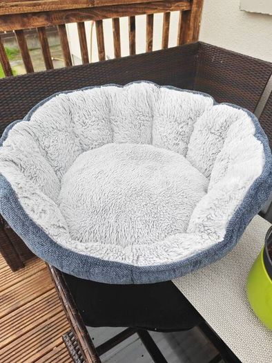 dog bed