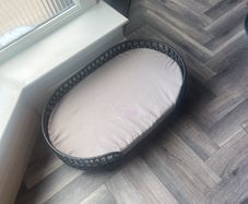 dog bed