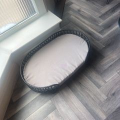 dog bed