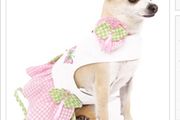Urban Pup dog dress &amp; accessories