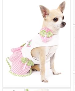 Urban Pup dog dress & accessories