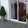 a pair of beautiful buxus  trees in containers Image 2