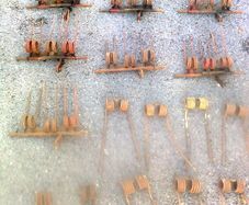 Belt Turner Tines