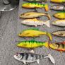 fishing lures Image 2