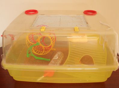 2 level cage | enclosure with accessories | small pets house | mice