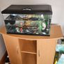 Aquarium and extras Image 3
