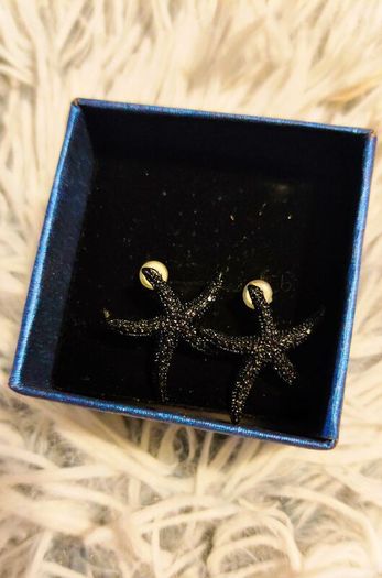 Small Shiny Earrings with Black Starfish Motif Elegant Minimal Style