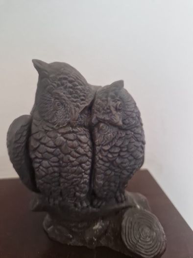 owls