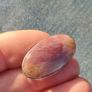 Vintage Rhodochrosite Sterling Silver Brooch Image 5