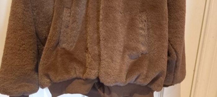 Bear Coat