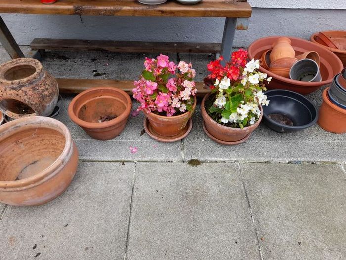 Garden pots  n items clearout