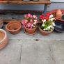 Garden pots  n items clearout Image 8
